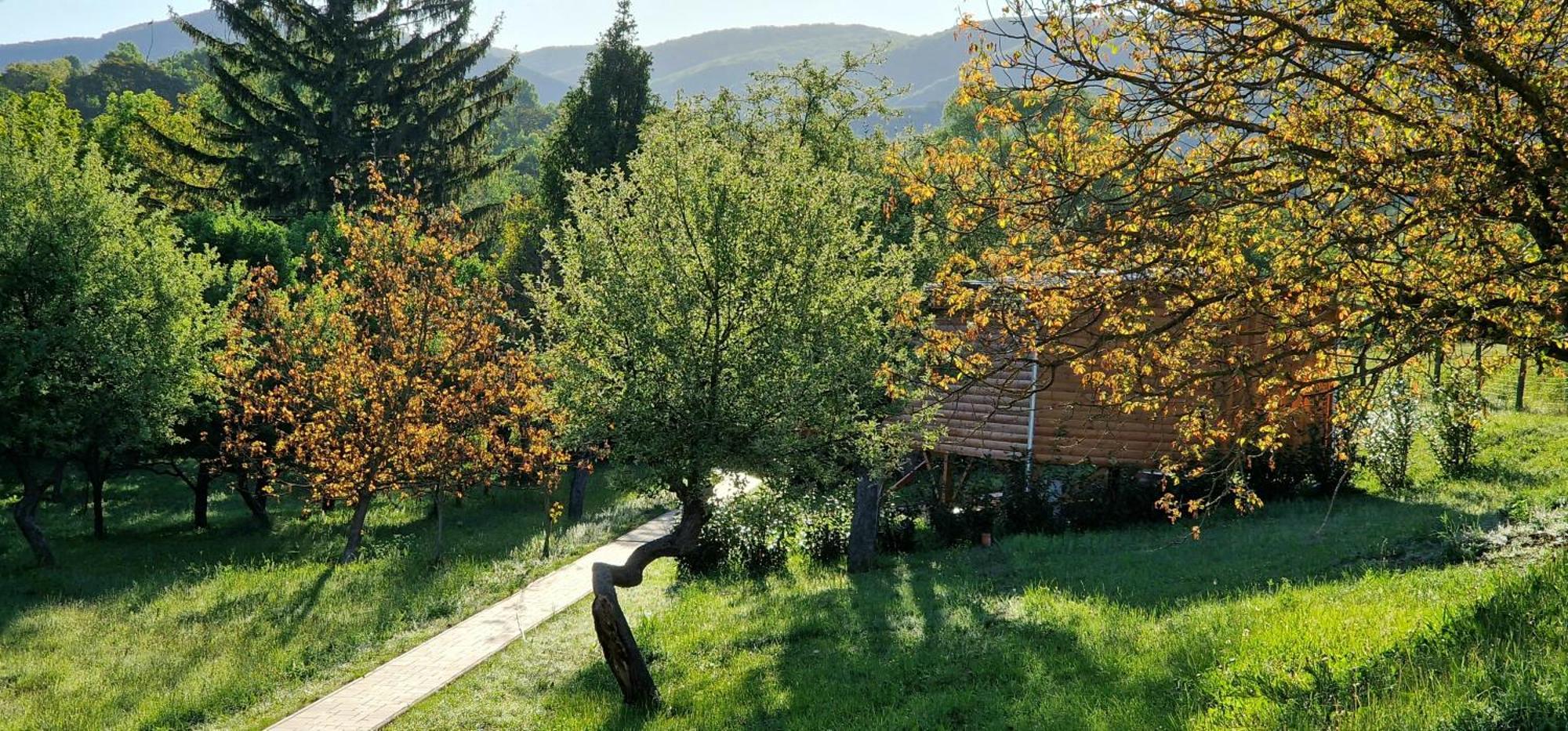 Reteskert Vendeghaz Es Apartman Belapatfalva Exterior photo
